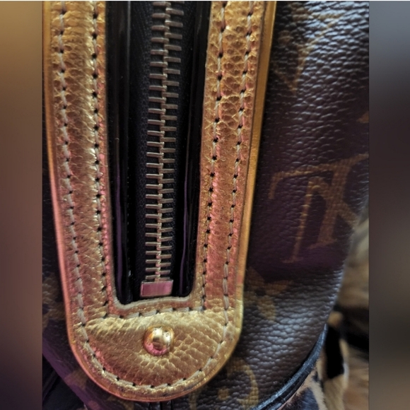 A Collector’s Dream! Limited Edition Louis Vuitton Rare tribute exotic bag fur - Picture 13 of 16